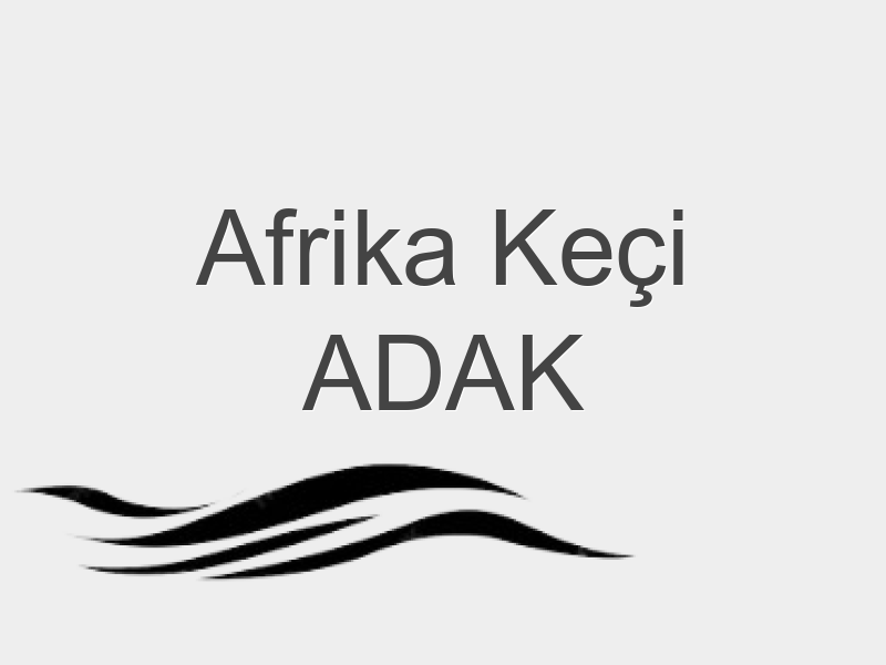 YURTDIŞI KEÇİ ADAK KURBANI